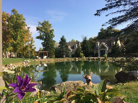 Spruce Hill Inn & Cottages Mansfield Esterno foto
