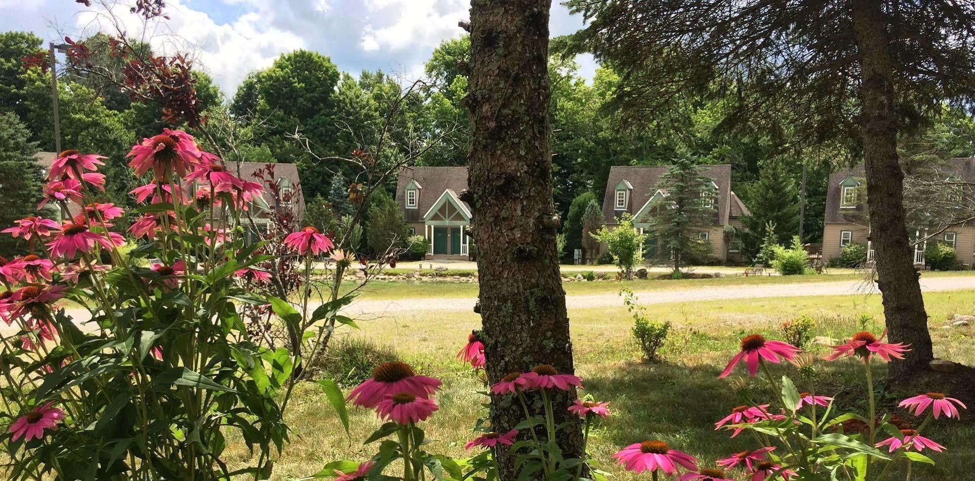 Spruce Hill Inn & Cottages Mansfield Esterno foto